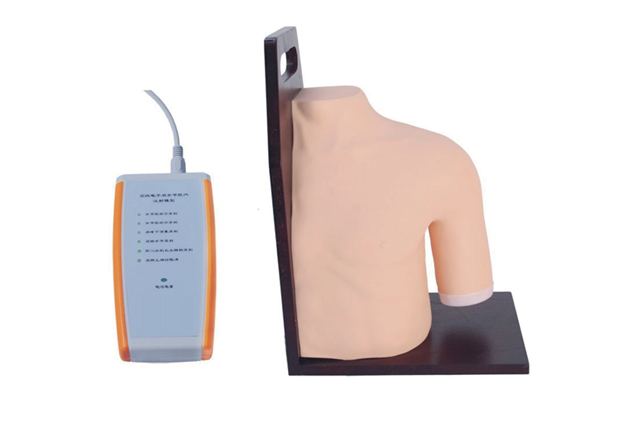 MW201 肩关节腔内注射模型